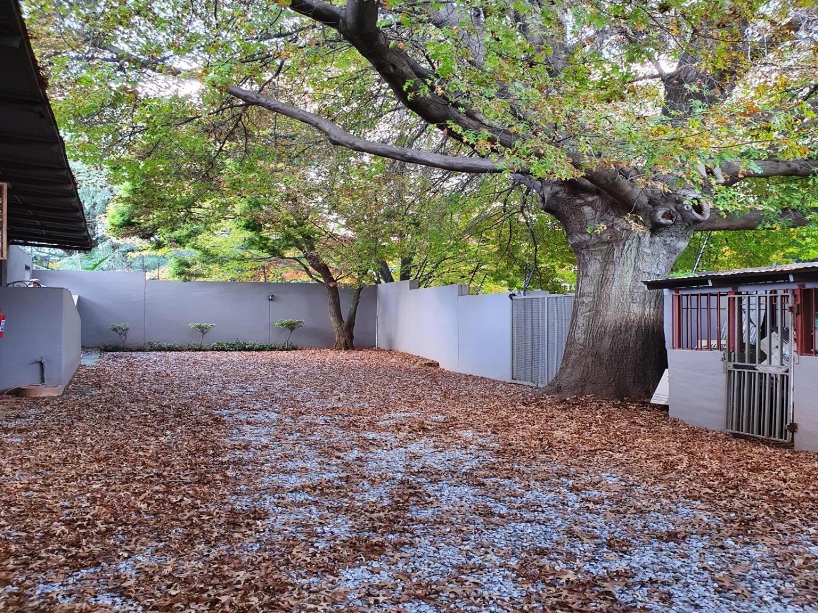 7Th Street Guesthouse Johannesburg Exterior photo