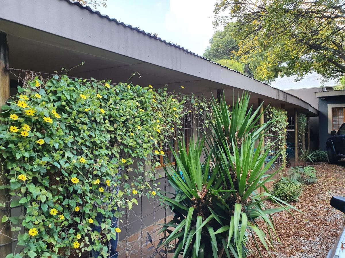 7Th Street Guesthouse Johannesburg Exterior photo