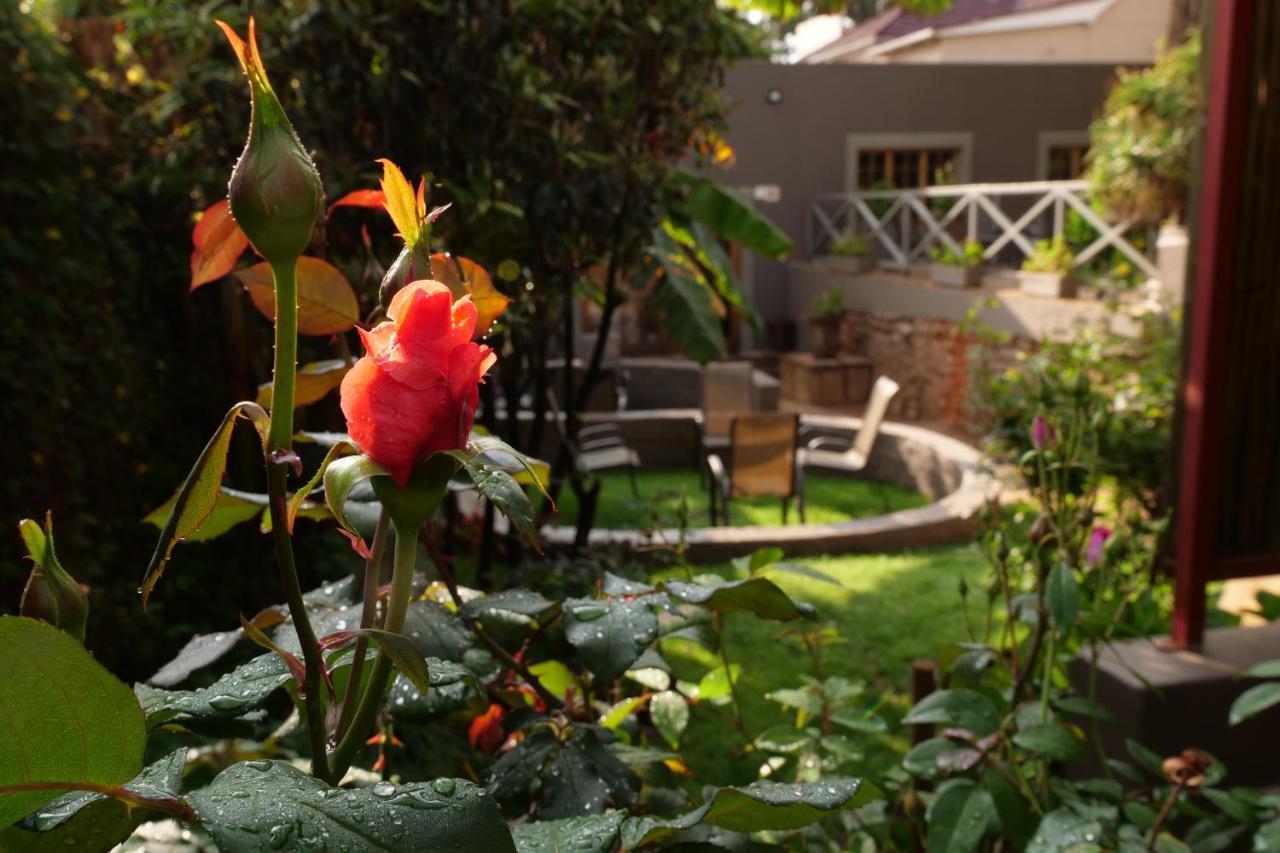 7Th Street Guesthouse Johannesburg Exterior photo