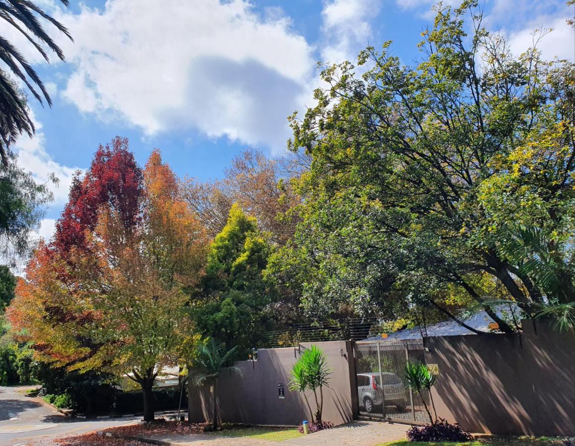 7Th Street Guesthouse Johannesburg Exterior photo